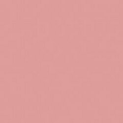 DecoArt Terra Coral Americana Acrylic 2oz.