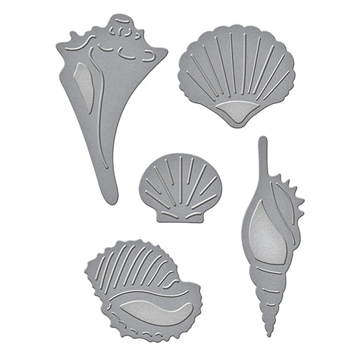 Spellbinders Sea Shells