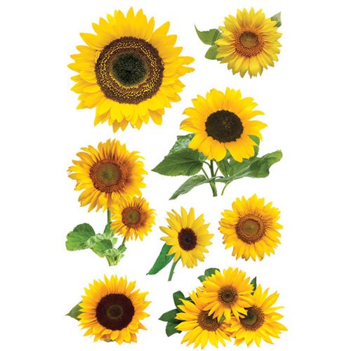 Paper House Productions Sunflowers - Sticker - 3d