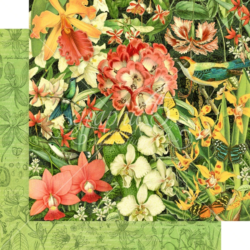 Graphic 45 Resplendent Plumage 12x12 Paper Packs Of 5 Sheets