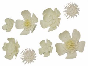 Martha Stewart Crafts White Flowers