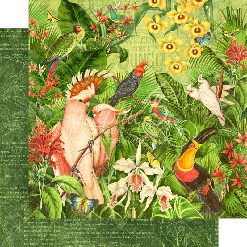 Graphic 45 Welcome To The Jungle 12x12 Pape Packs Of 5 Sheets