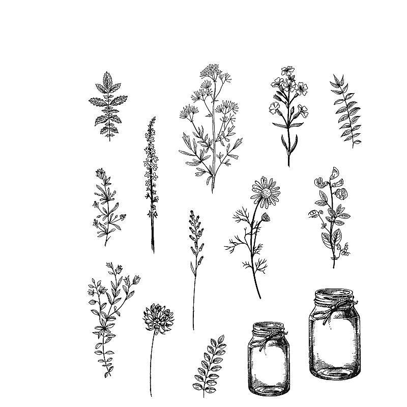 Art Gone Wild Flower Jar