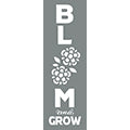 DecoArt Bloom And Grow 6"x18" Stencil