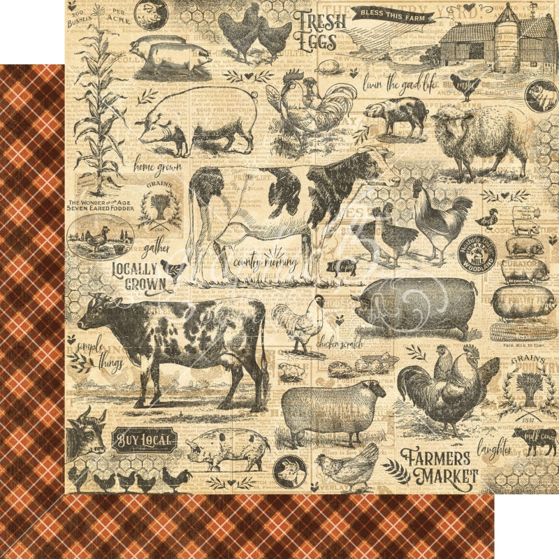 Graphic 45 Gather Together 12x12 Paper Packs Of 5 Sheets