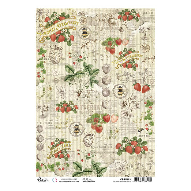 Country Strawberries - Ciao Bella Piuma Rice Paper A4 - 5 Pack