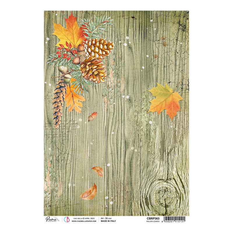 Fallen Leaves - Ciao Bella Piuma Rice Paper A4 - 5 Pack