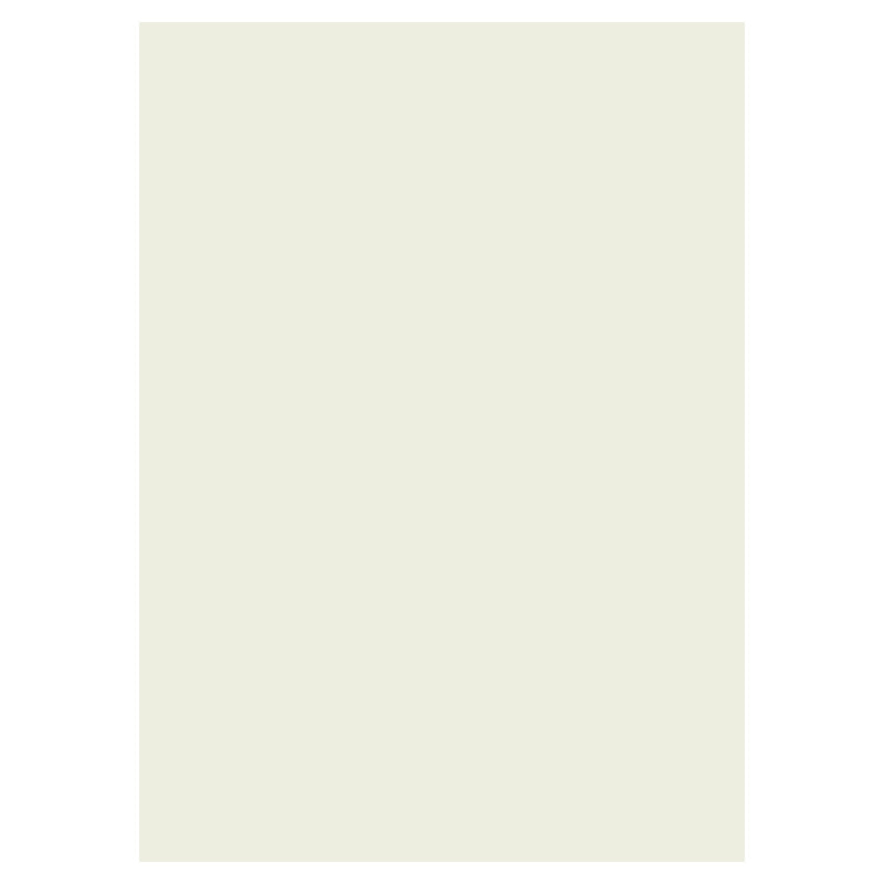Ivory A4 (240 Gsm) (25)