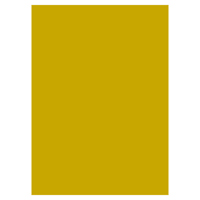 Gold A4 (240 Gsm) (25)
