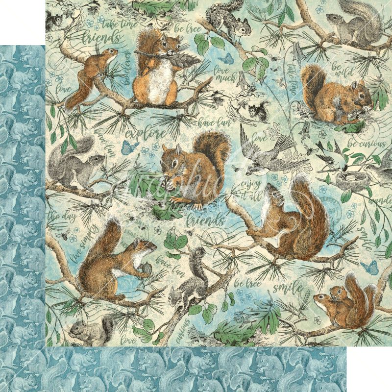 Graphic 45 Be Curious 12x12 Paper Packs Of 5 Sheets