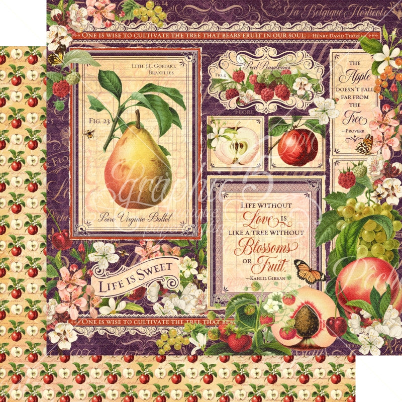 Graphic 45 Fruit & Flora 12x12 Paper Packs Of 5 Sheets
