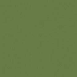 DecoArt Hauser Medium Green Americana Acrylic 2o
