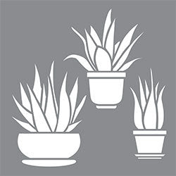 DecoArt Aloe Vera